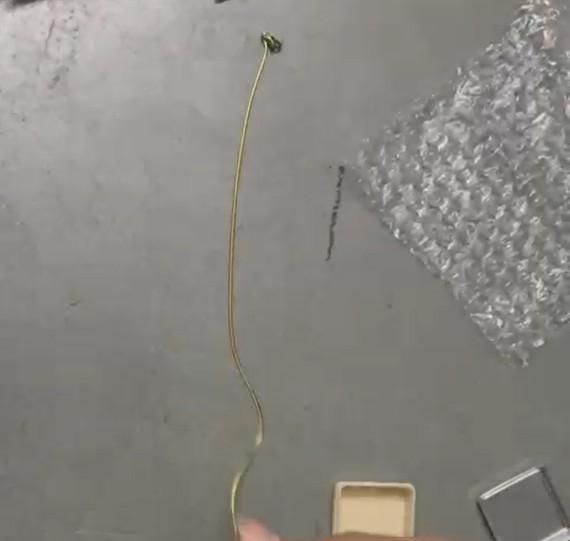 Golden Chain Snake Bracelet